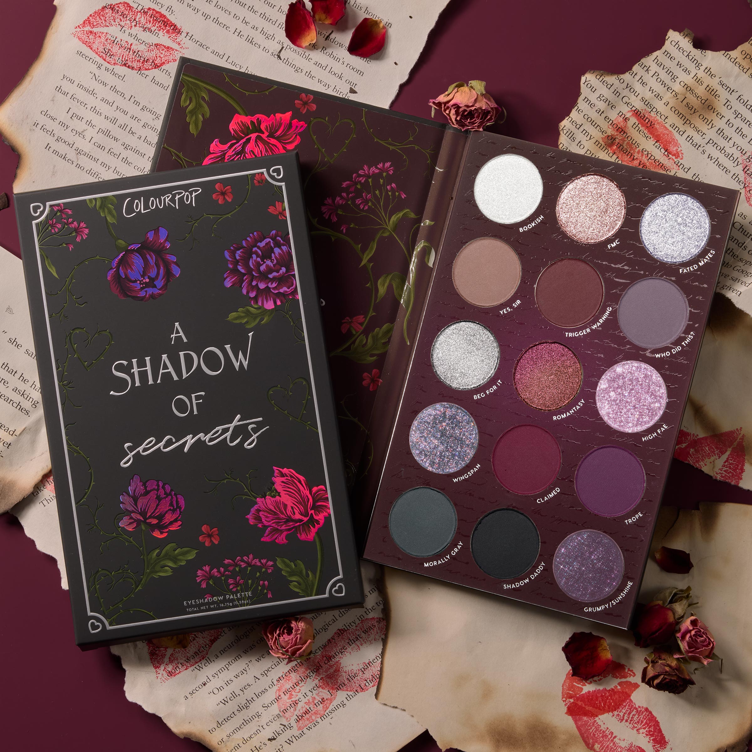 A Shadow of Secrets - Simple Edit